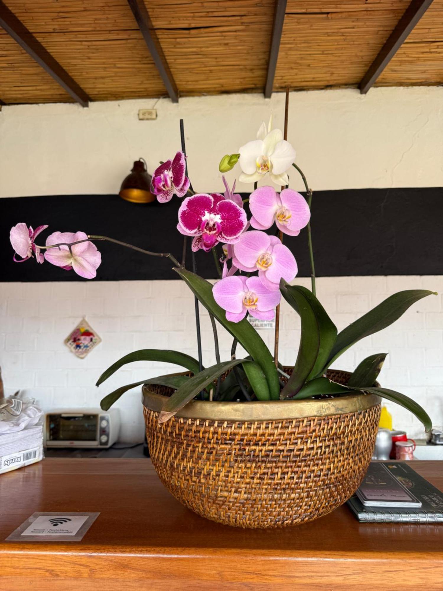 Pancha Mama Hotel Boutique Villa de Leyva Luaran gambar